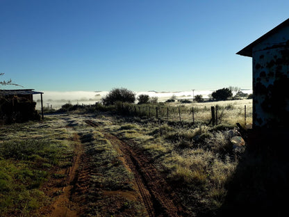 Conville Guest Farm Aliwal North Eastern Cape South Africa 