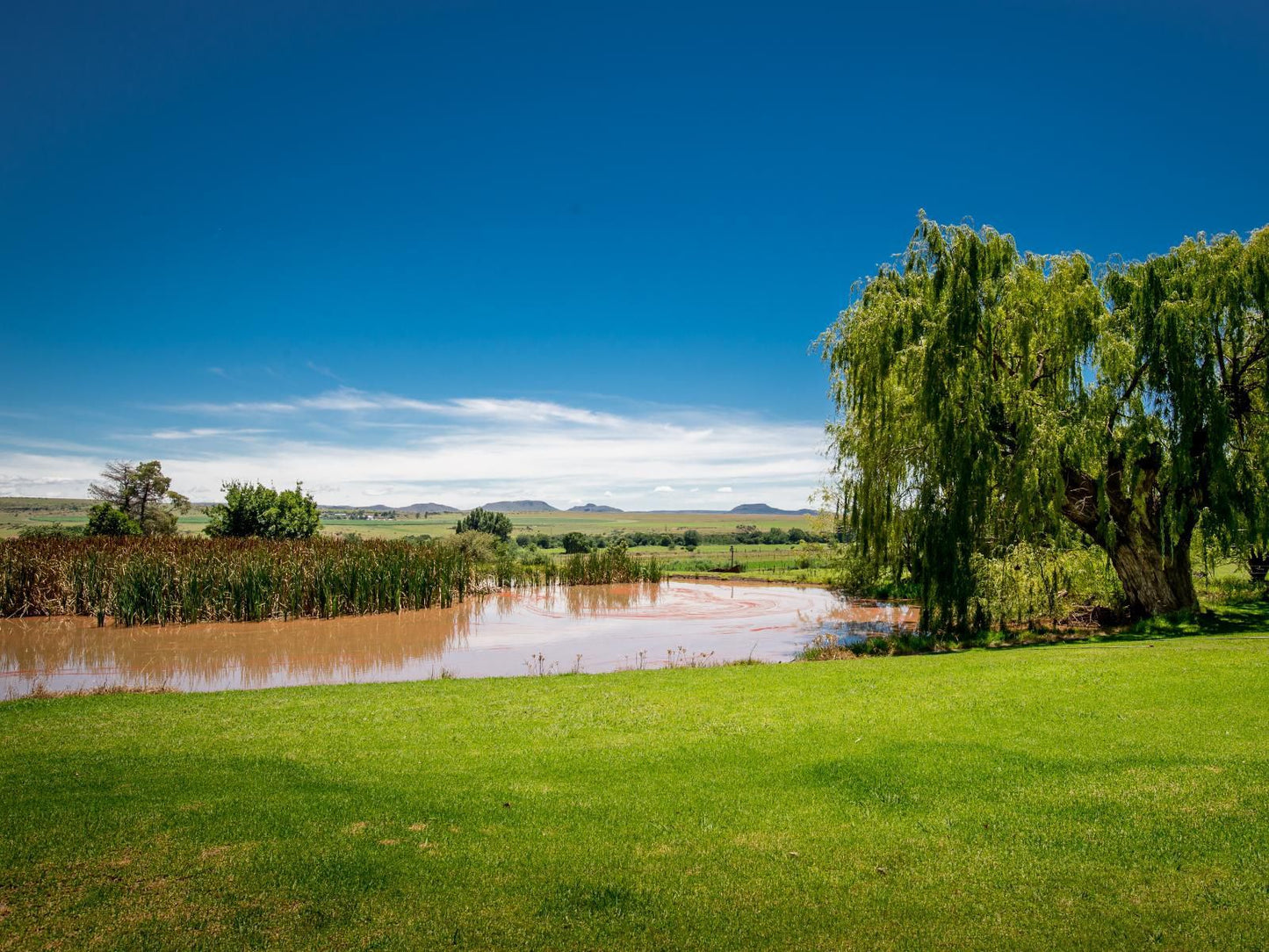 Conville Guest Farm Aliwal North Eastern Cape South Africa Complementary Colors, Colorful, Lowland, Nature