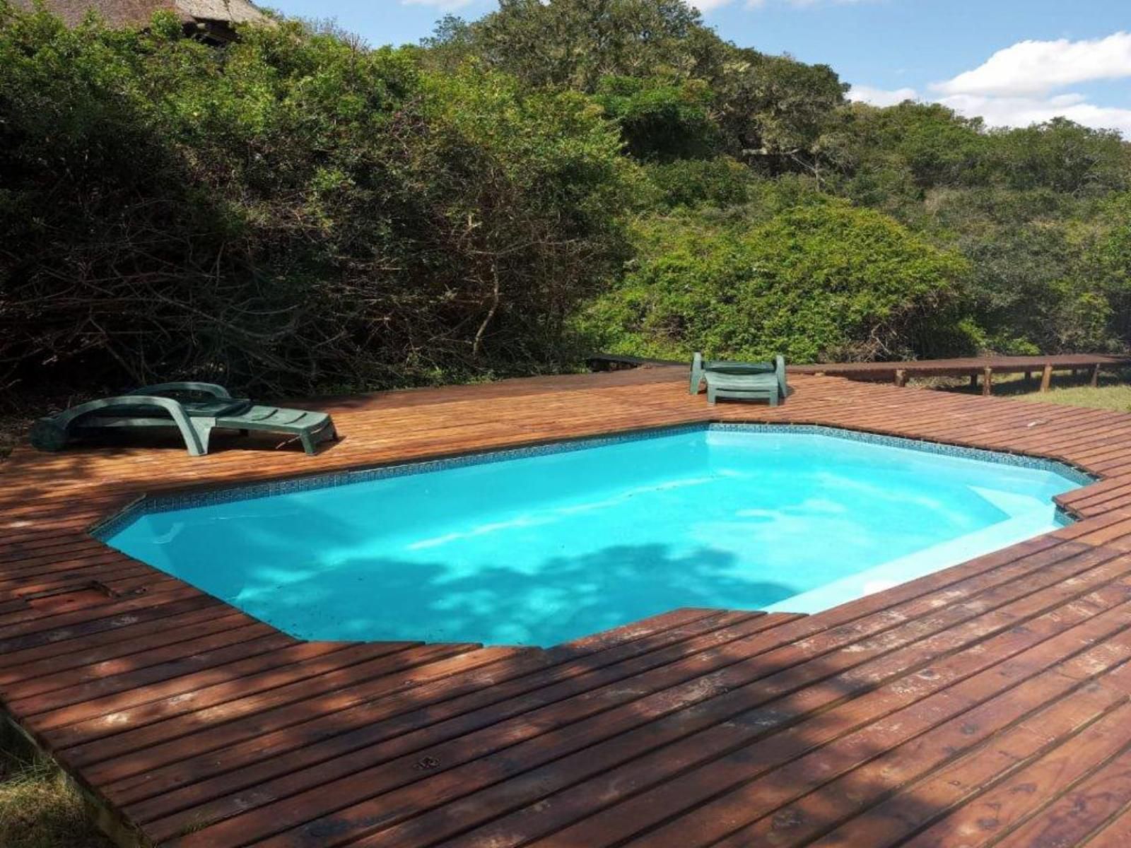 Coombs View Reserve Grahamstown Eastern Cape South Africa Complementary Colors, Swimming Pool