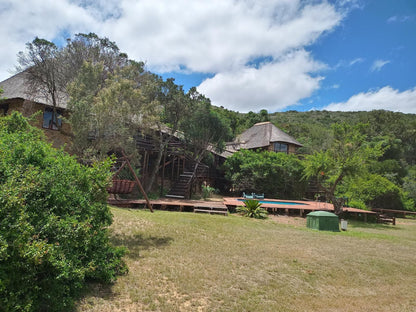 Coombs View Reserve Grahamstown Eastern Cape South Africa Complementary Colors