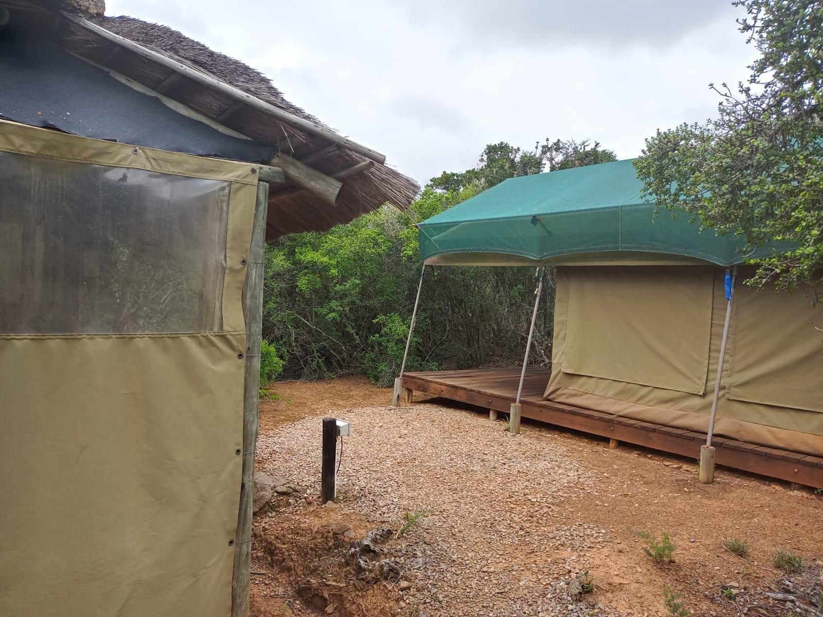 Coombs View Reserve Grahamstown Eastern Cape South Africa Tent, Architecture