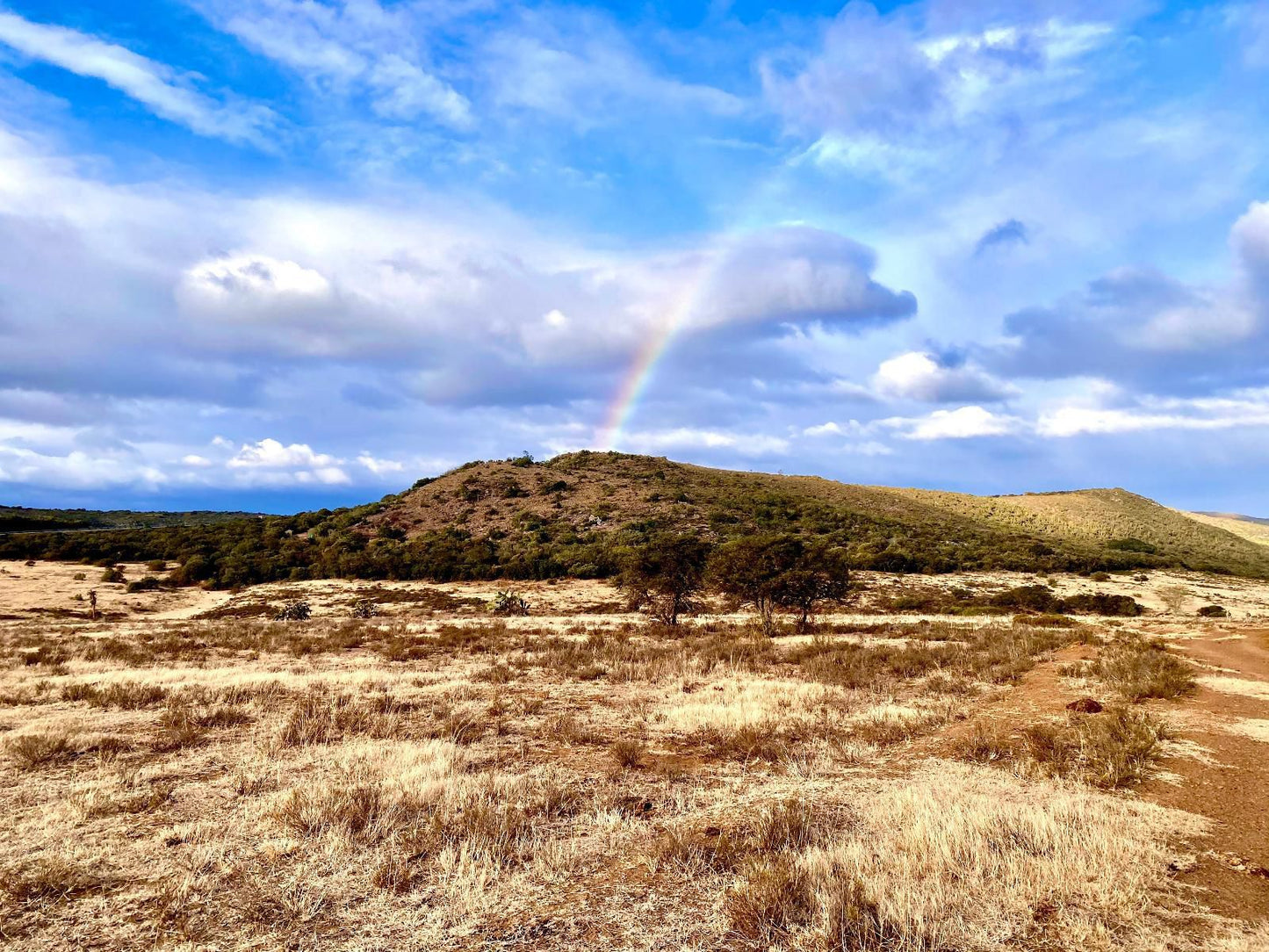 Coombs View Reserve Grahamstown Eastern Cape South Africa Complementary Colors, Colorful, Rainbow, Nature