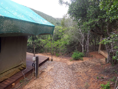 Tented Camp Double Bed @ Coombs View Reserve