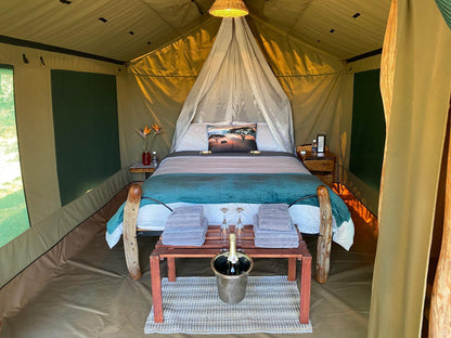 Tented Camp Double Bed @ Coombs View Reserve