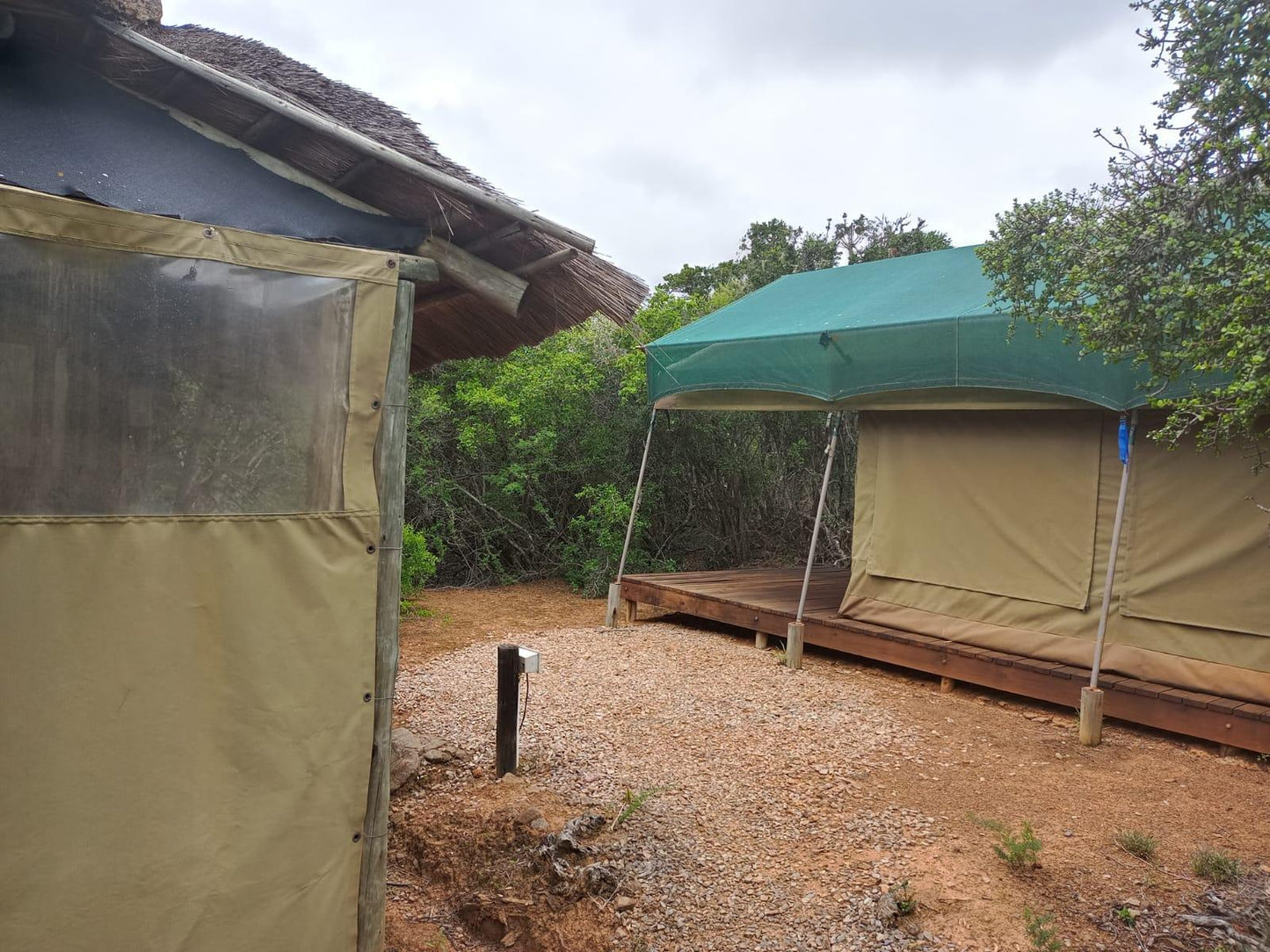 Tented Camp Twin Beds @ Coombs View Reserve