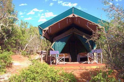 Coombs Camp Grahamstown Eastern Cape South Africa Complementary Colors, Tent, Architecture