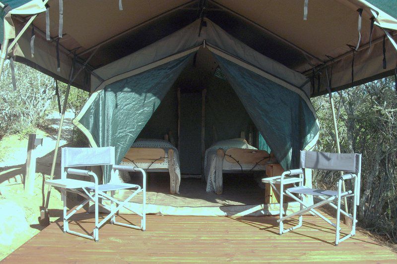 Coombs Camp Grahamstown Eastern Cape South Africa Tent, Architecture