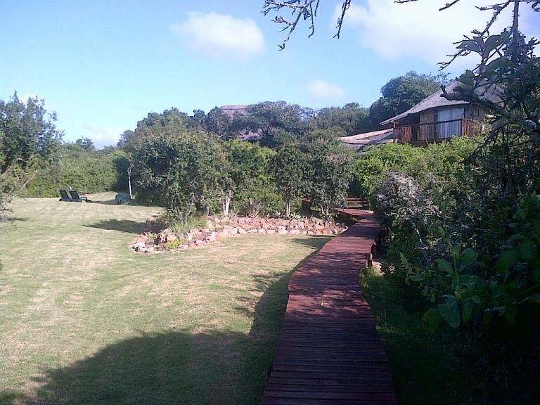 Coombs Lodge Grahamstown Eastern Cape South Africa Plant, Nature, Garden