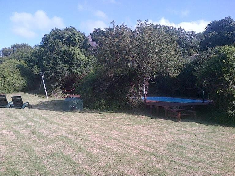 Coombs Lodge Grahamstown Eastern Cape South Africa Tree, Plant, Nature, Wood, Ball Game, Sport