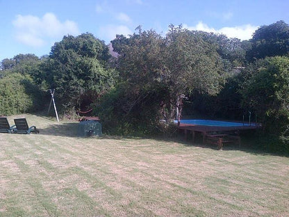 Coombs Lodge Grahamstown Eastern Cape South Africa Tree, Plant, Nature, Wood, Ball Game, Sport