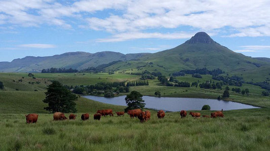 Copperleigh Trout Cabin Dargle Howick Kwazulu Natal South Africa Complementary Colors, Mountain, Nature, Highland