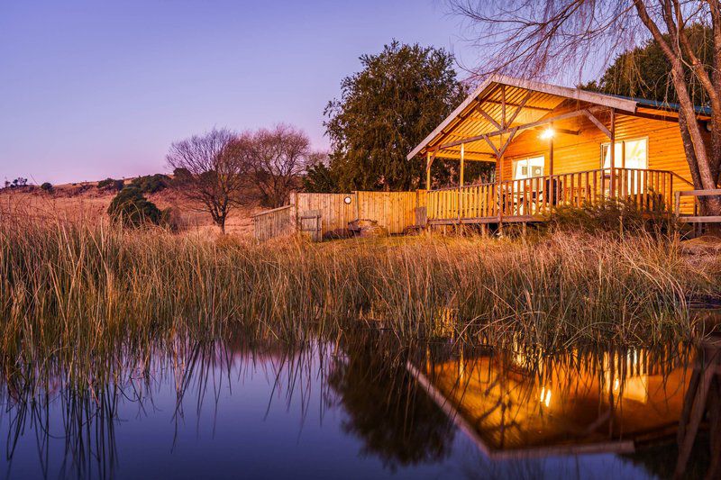 Copperleigh Trout Cabin Dargle Howick Kwazulu Natal South Africa Complementary Colors