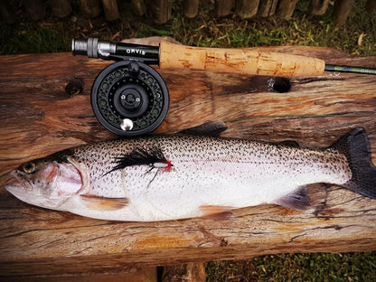 Copperleigh Trout Cottages, Fish, Marine Animal, Animal