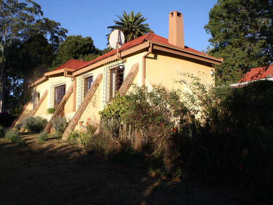 Copperwing Haenertsburg Limpopo Province South Africa Building, Architecture, House, Palm Tree, Plant, Nature, Wood