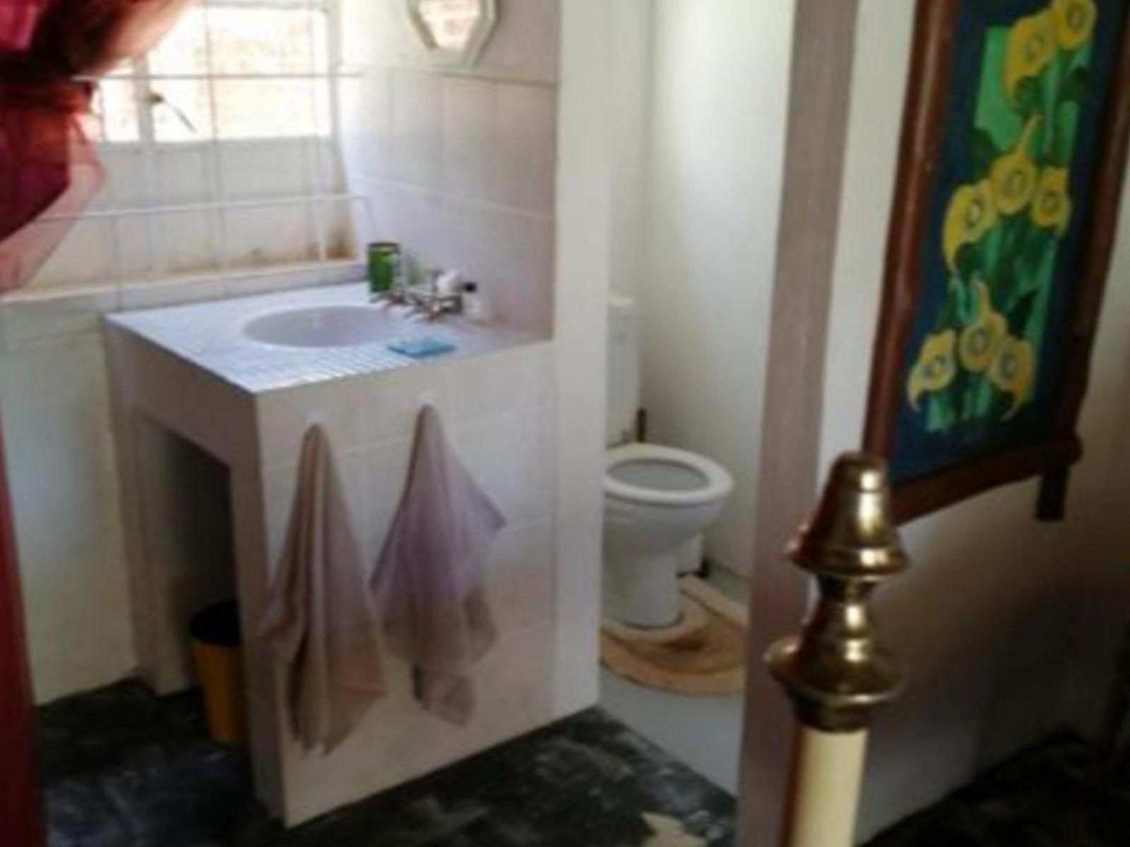 Copperwing Haenertsburg Limpopo Province South Africa Bathroom