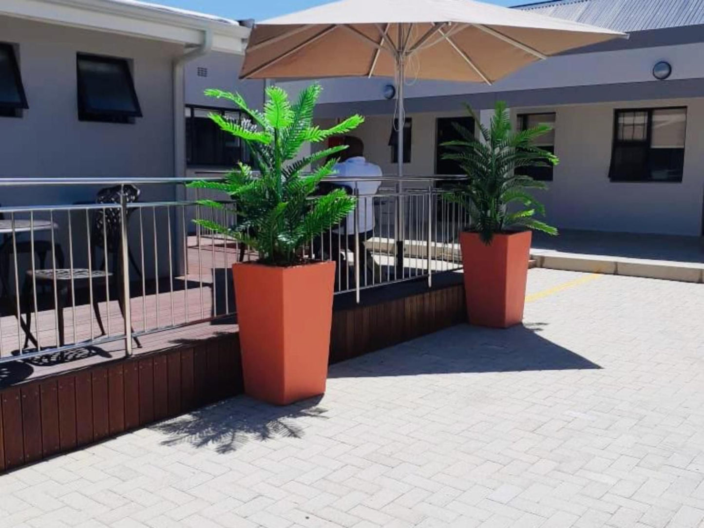 Coral On Belgravia Boutique Guest House Belgravia El East London Eastern Cape South Africa Palm Tree, Plant, Nature, Wood, Swimming Pool