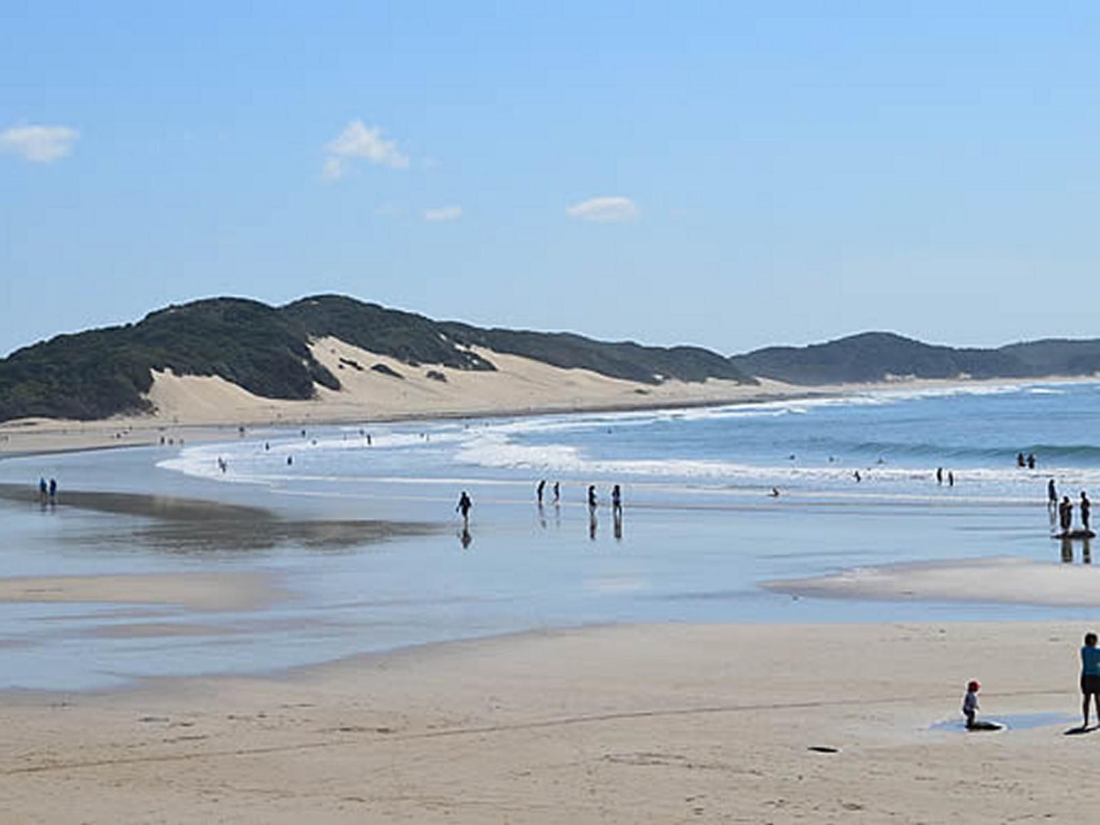 Coral Wood Nahoon East London Eastern Cape South Africa Beach, Nature, Sand