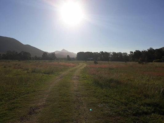 Cornelia S Field Joubertina Eastern Cape South Africa Mountain, Nature