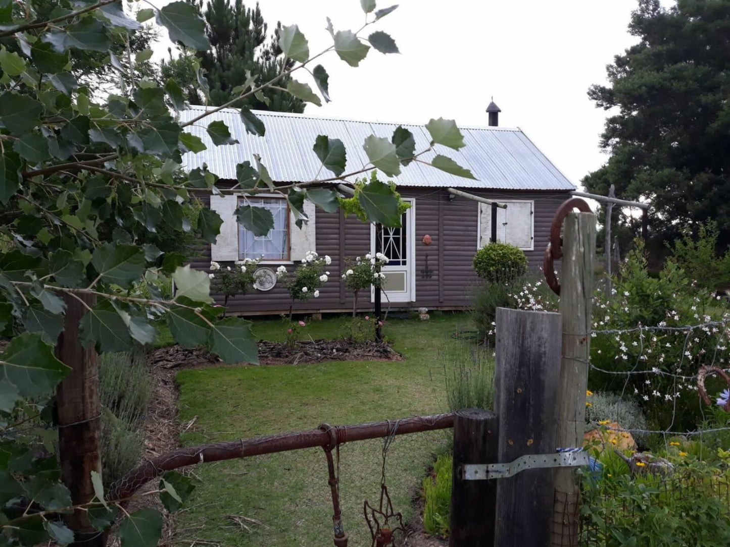 Cornelia S Field Joubertina Eastern Cape South Africa Building, Architecture, Cabin, House