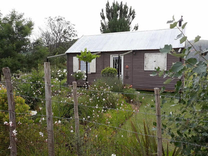 Cornelia S Field Joubertina Eastern Cape South Africa Building, Architecture, Cabin