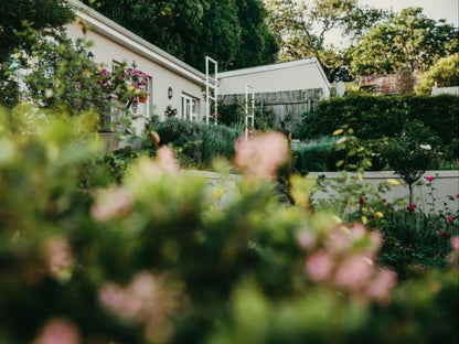 Cornerstone Manor West Hill Grahamstown Grahamstown Eastern Cape South Africa House, Building, Architecture, Plant, Nature, Garden