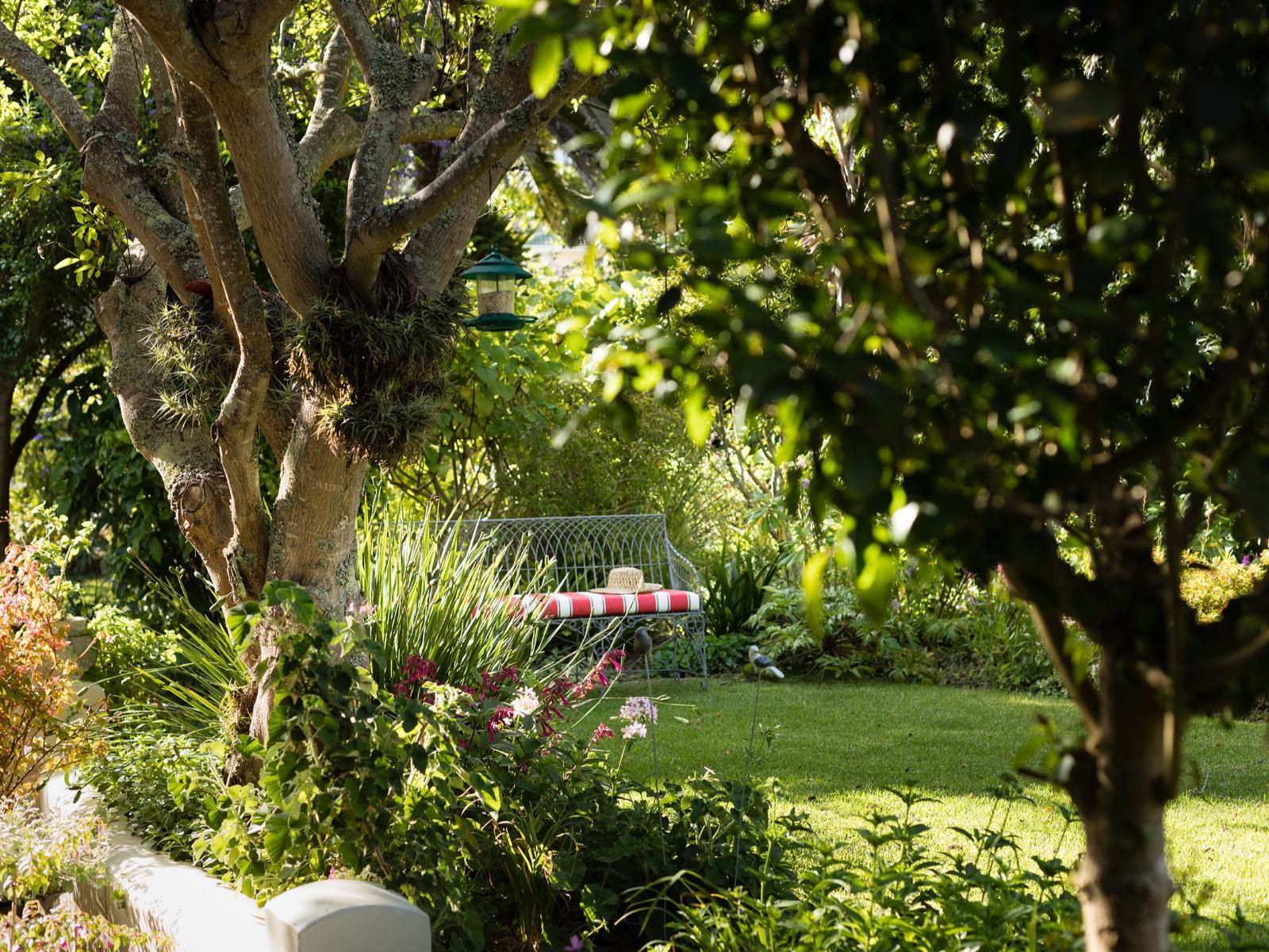 Cornerway House Plettenberg Bay Western Cape South Africa Palm Tree, Plant, Nature, Wood, Garden