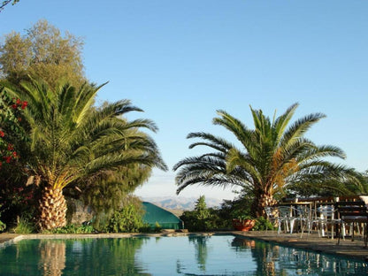 Corona Guest Farm, Palm Tree, Plant, Nature, Wood