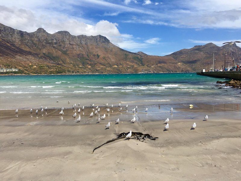 Cosy Corner Hout Bay Hout Bay Cape Town Western Cape South Africa Beach, Nature, Sand