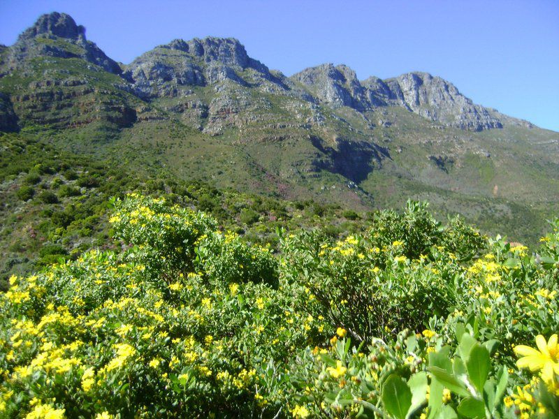 Cosy Corner Hout Bay Hout Bay Cape Town Western Cape South Africa Complementary Colors, Mountain, Nature, Plant