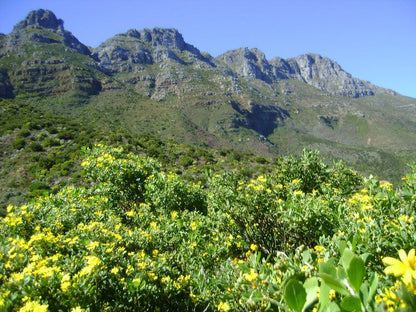 Cosy Corner Hout Bay Hout Bay Cape Town Western Cape South Africa Complementary Colors, Mountain, Nature, Plant