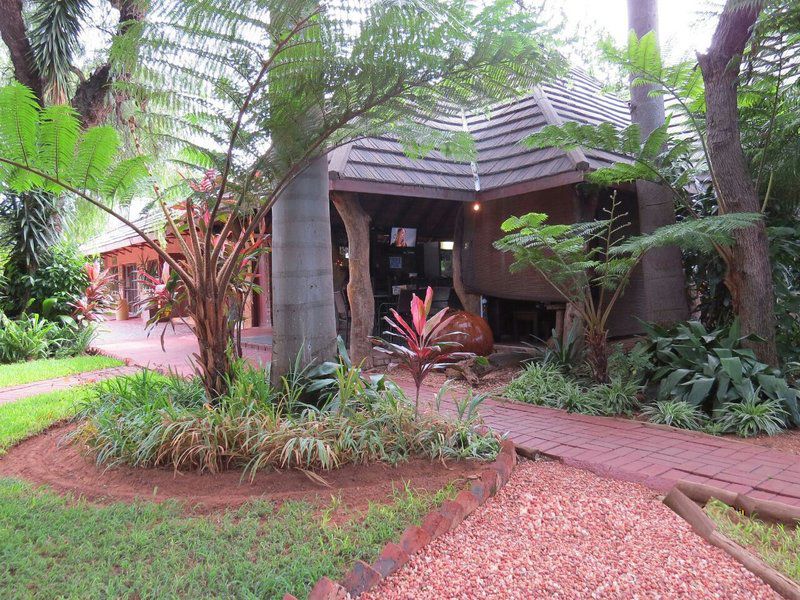 Cosy Lodge Guest House Lephalale Ellisras Limpopo Province South Africa Palm Tree, Plant, Nature, Wood