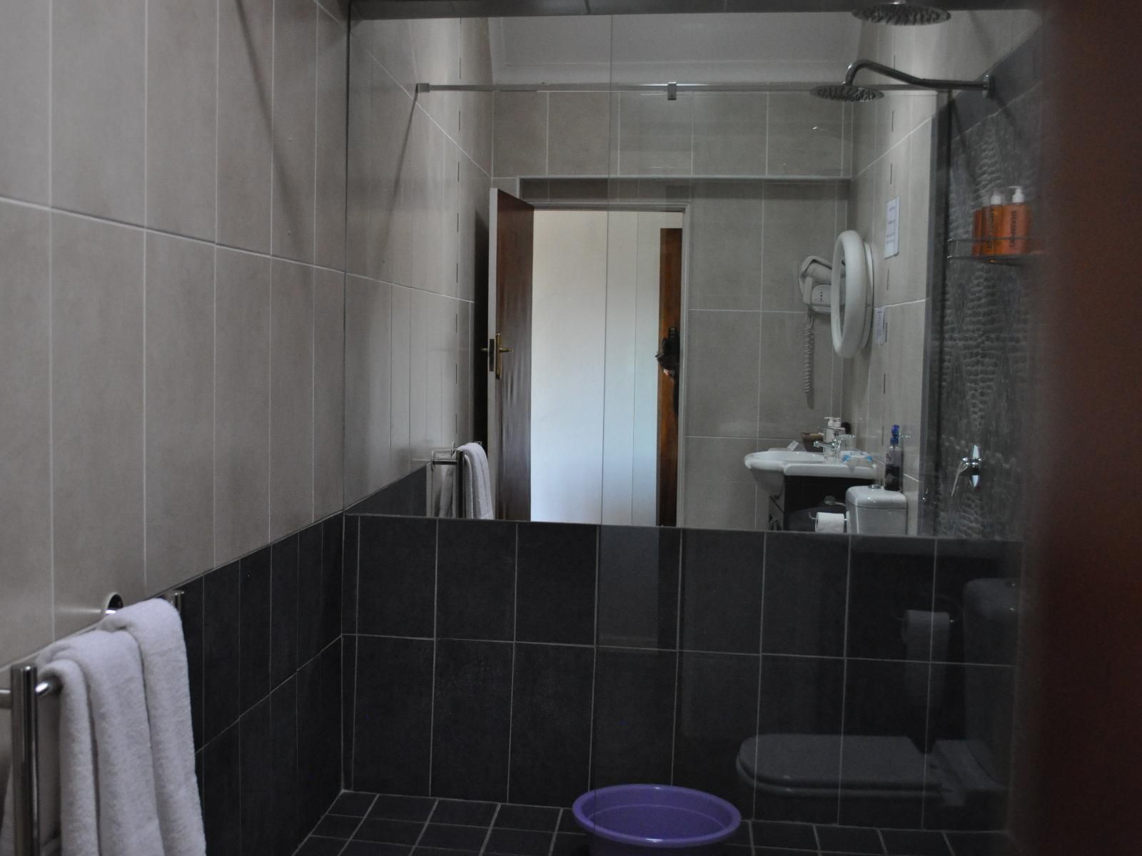 Cotswold House Guest House Milnerton Cape Town Western Cape South Africa Unsaturated, Bathroom