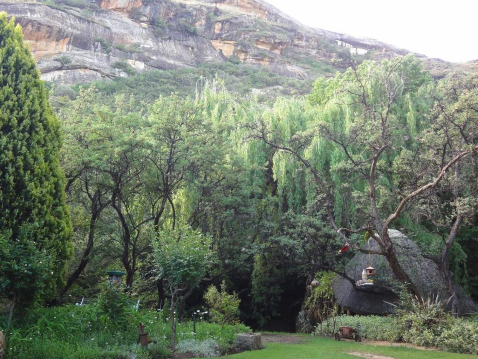 Cottage Pie Clarens Golf And Trout Estate Clarens Free State South Africa Tree, Plant, Nature, Wood, Garden, Highland
