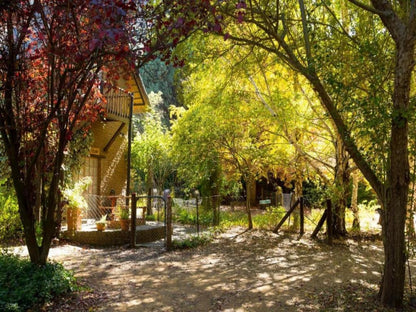 Cottage Pie Clarens Golf And Trout Estate Clarens Free State South Africa Plant, Nature, Tree, Wood, Autumn, Garden