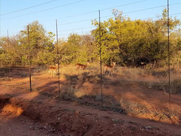 Cottage Lenise Phalaborwa Limpopo Province South Africa Complementary Colors, Railroad, Lowland, Nature