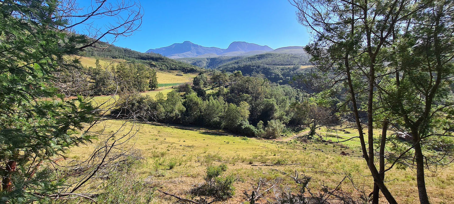 Heimat Cottages Little Brak Western Cape South Africa Mountain, Nature, Highland