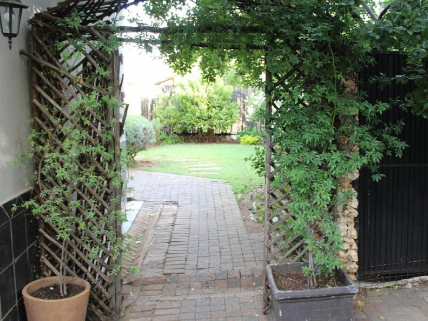 Cottonwood Guesthouse Oasis Dan Pienaar Bloemfontein Free State South Africa Plant, Nature, Tree, Wood, Garden