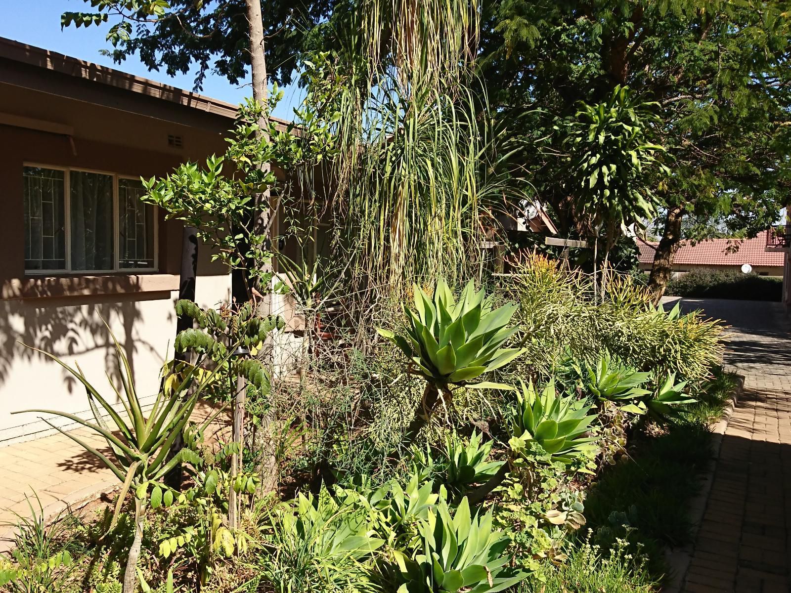 Country Blue Luxury Guest House Polokwane Ext 4 Polokwane Pietersburg Limpopo Province South Africa House, Building, Architecture, Palm Tree, Plant, Nature, Wood, Garden