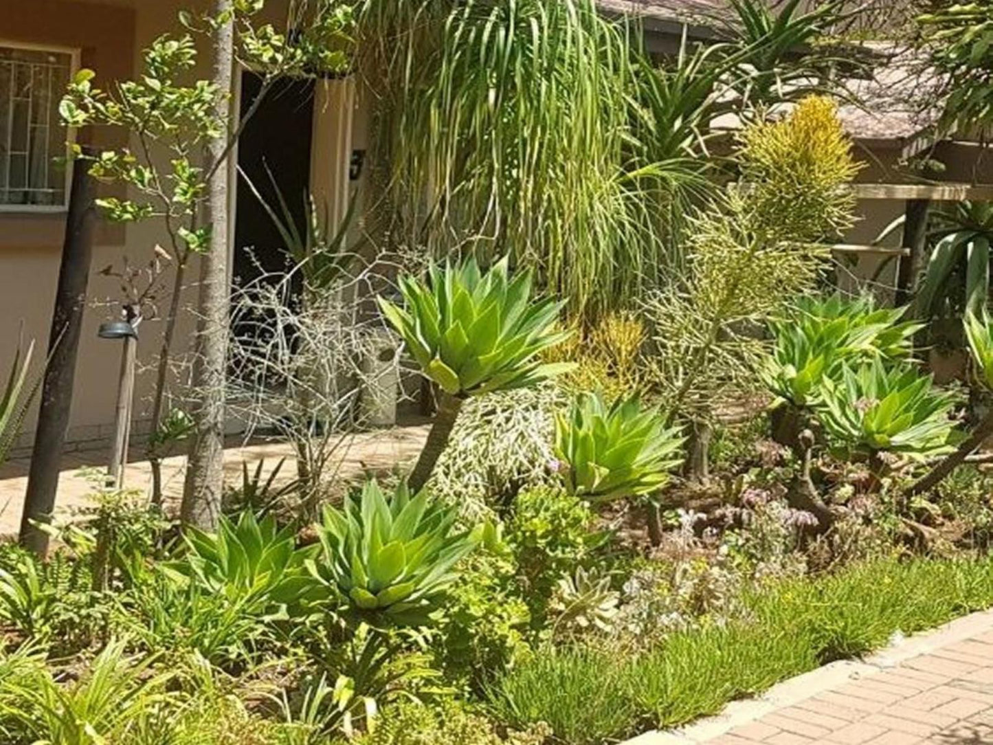 Country Blue Luxury Guest House Polokwane Ext 4 Polokwane Pietersburg Limpopo Province South Africa House, Building, Architecture, Palm Tree, Plant, Nature, Wood, Garden
