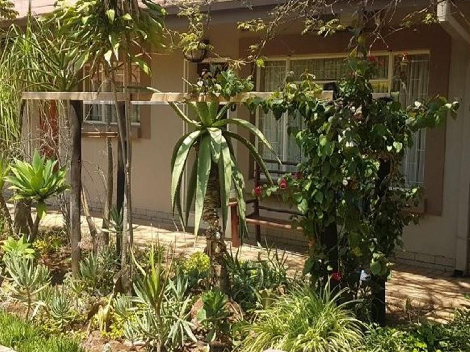 Country Blue Luxury Guest House Polokwane Ext 4 Polokwane Pietersburg Limpopo Province South Africa Sepia Tones, House, Building, Architecture, Palm Tree, Plant, Nature, Wood, Garden