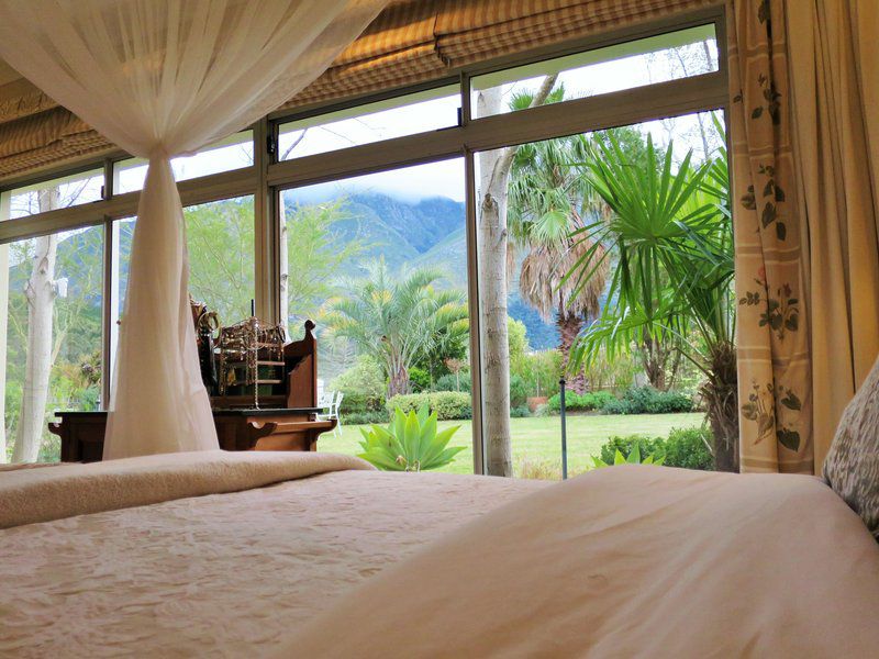 Country Paradise Self Catering Home Swellendam Western Cape South Africa Palm Tree, Plant, Nature, Wood