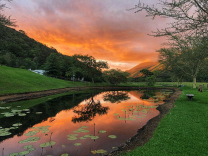 2 Night Country Yoga Retreat Package Swellendam Western Cape South Africa Nature