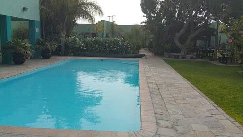 Country Club Lodge Port Nolloth Northern Cape South Africa Palm Tree, Plant, Nature, Wood, Garden, Swimming Pool