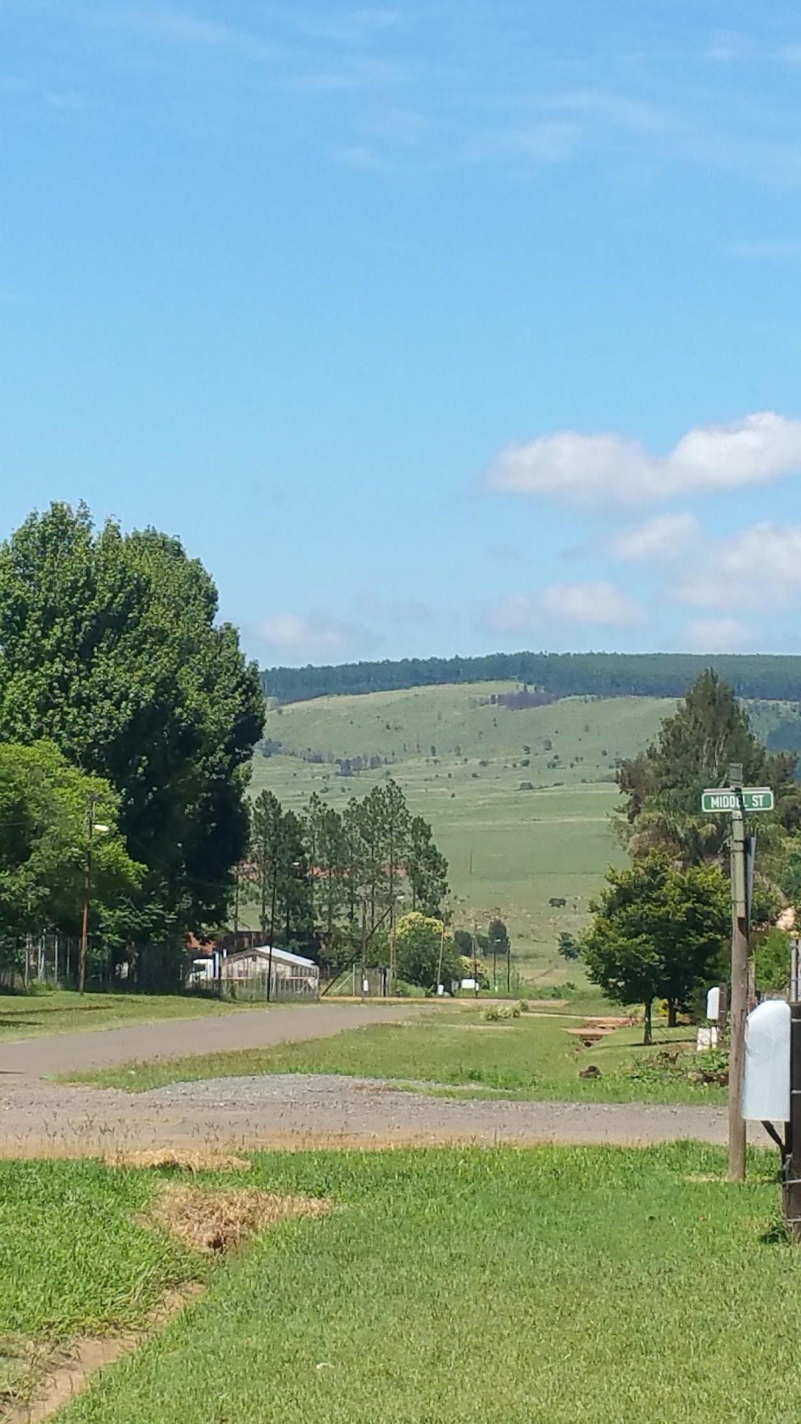 Country Corner Bandb Paulpietersburg Kwazulu Natal South Africa Complementary Colors, Tree, Plant, Nature, Wood