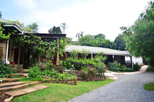 Country Lane Guest House Howick Kwazulu Natal South Africa Plant, Nature