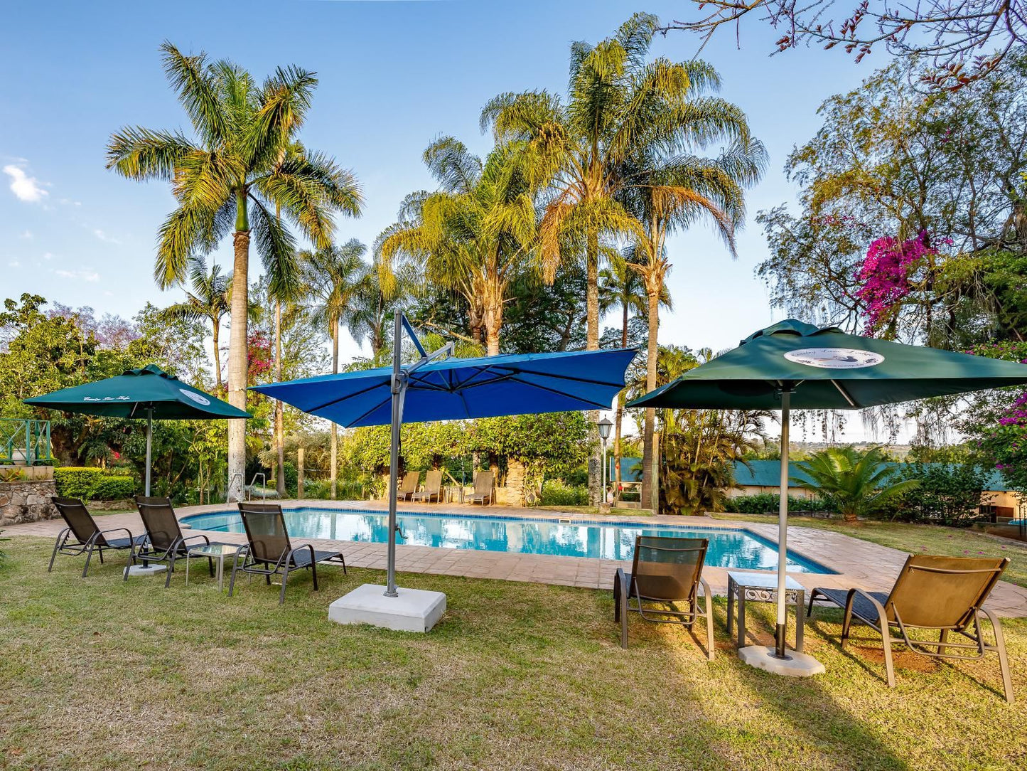 Country Lane Lodge White River Mpumalanga South Africa Complementary Colors, Palm Tree, Plant, Nature, Wood, Swimming Pool