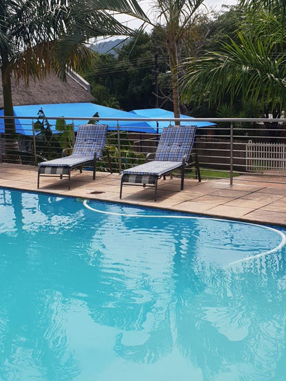 Country Link Guest Lodge Komatipoort Mpumalanga South Africa Palm Tree, Plant, Nature, Wood, Swimming Pool