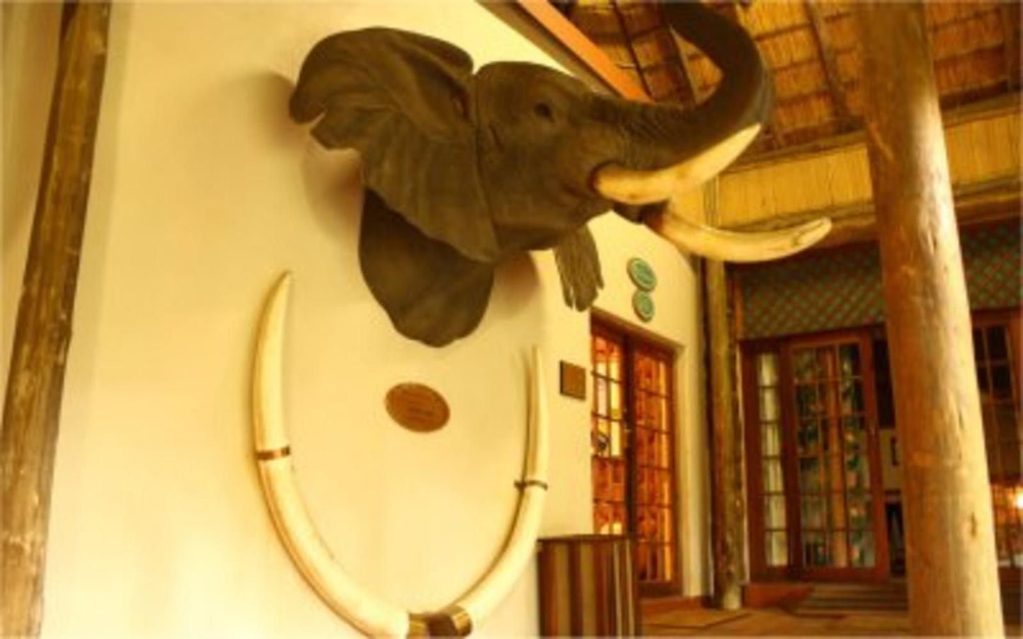 Pongola Country Lodge Pongola Kwazulu Natal South Africa Colorful, Elephant, Mammal, Animal, Herbivore