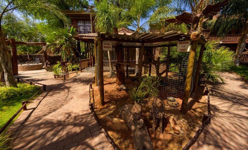 Country Lodge Upington Northern Cape South Africa Colorful, Palm Tree, Plant, Nature, Wood, Reptile, Animal