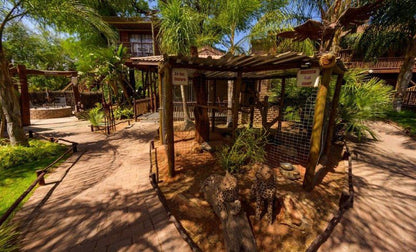 Country Lodge Upington Northern Cape South Africa Colorful, Palm Tree, Plant, Nature, Wood, Reptile, Animal